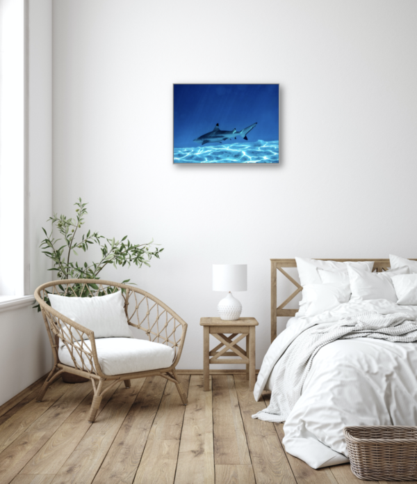 'Underwater world of Moorea' print